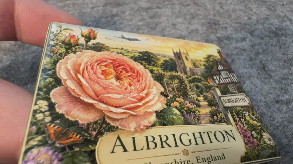 Albrighton Fridge Magnet | English Rose Souvenir | Shropshire Gift